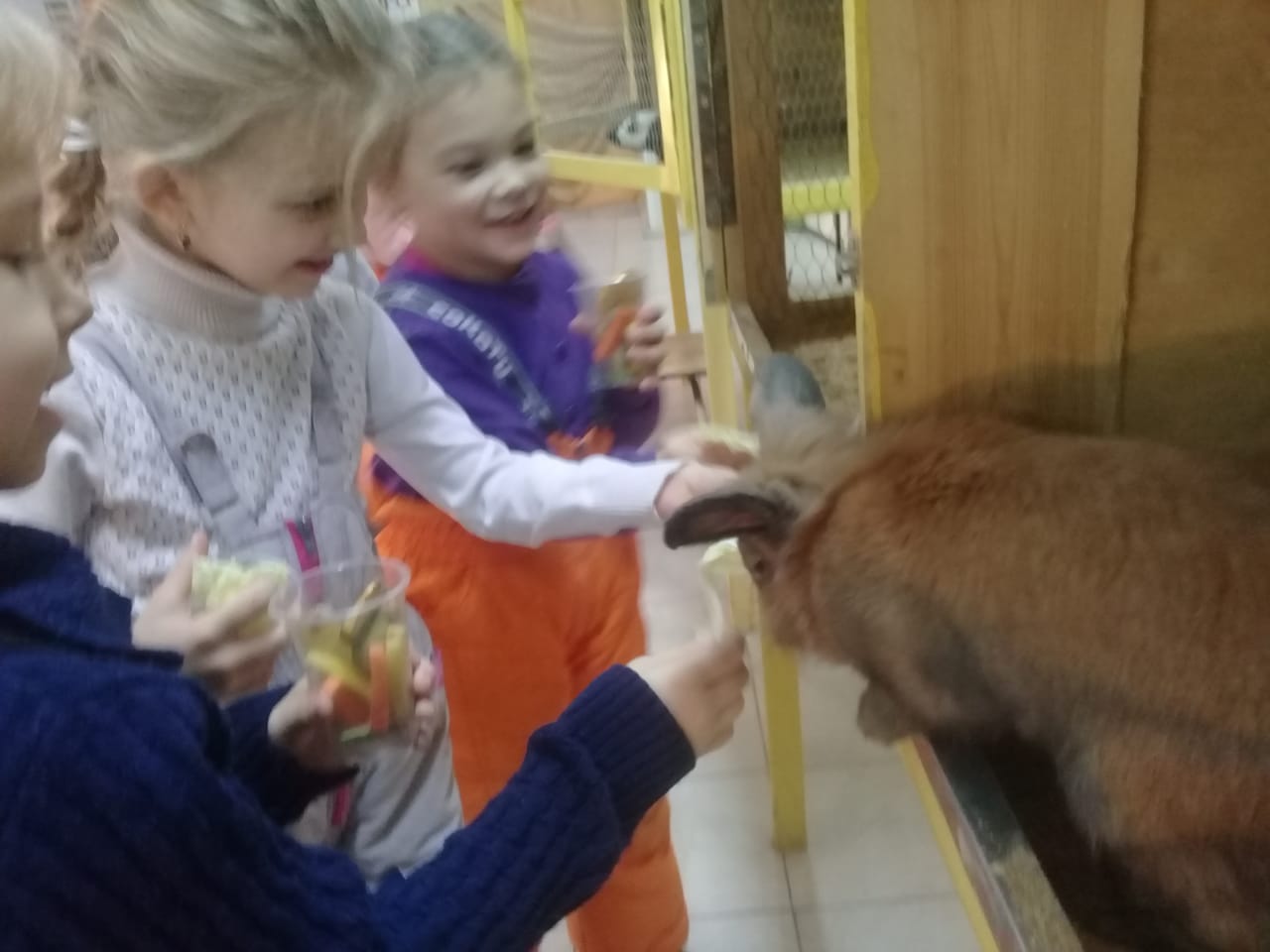 IMG 20191227 WA0003